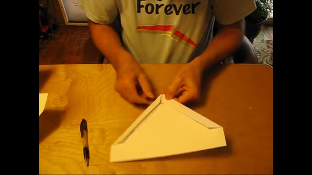 Both leading edges rolled, the wing a wide chevron